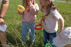 IMG_20260522_101033