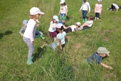 IMG_20260522_105822