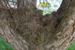 IMG_20260522_110051