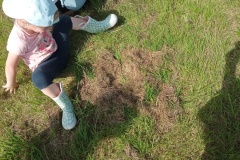 IMG_20260522_110138