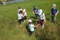 IMG_20260522_110241