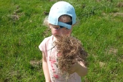 IMG_20260522_111256