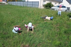 IMG_20260522_111400