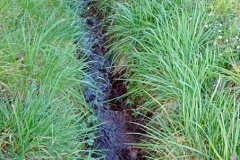IMG_20260320_095518