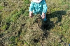 IMG_20260320_112136
