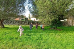 IMG_20260206_110350