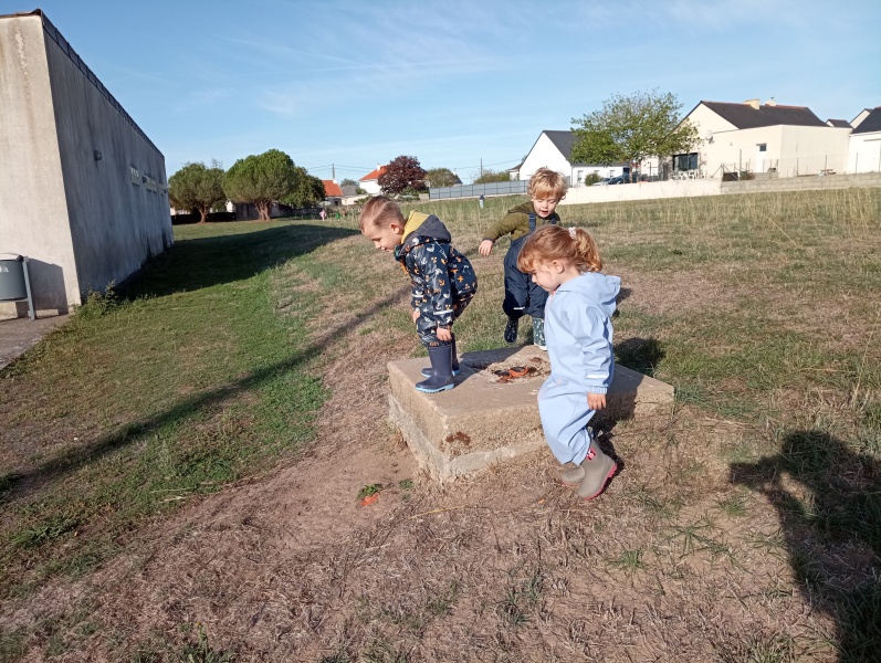 IMG_20261002_102246