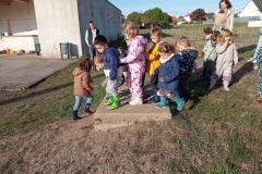IMG_20261002_101128