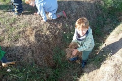 IMG_20261002_102845