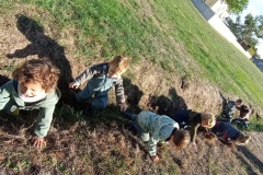 IMG_20261002_103921