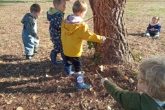 IMG_20261002_104551