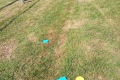 IMG_20260605_103749
