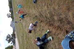 IMG_20260605_110620