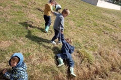 IMG_20260605_110816