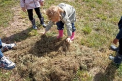 IMG_20260605_111142