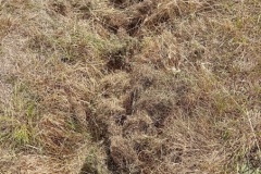 IMG_20260605_111727