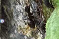 IMG-20260619-WA0000