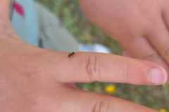 IMG-20260619-WA0001