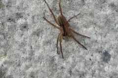 IMG-20260619-WA0002