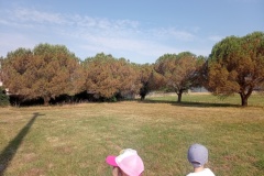 IMG_20260619_095048
