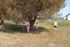 IMG_20260619_110945