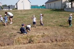 IMG_20260619_111201