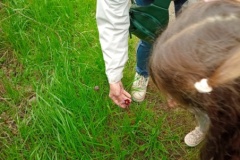 IMG_20260402_101228