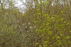 IMG_20260402_102309