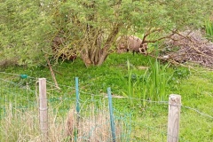 IMG_20260402_102622