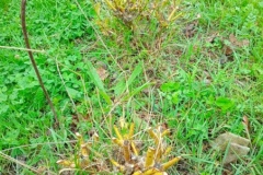 IMG_20260402_093441