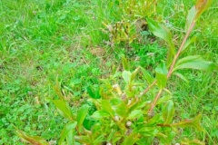 IMG_20260402_093448