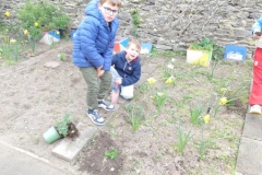 plantation-semis-CP-1