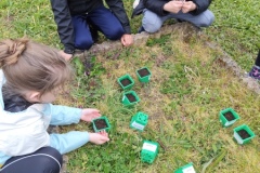 plantation-semis-CP-2