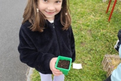 plantation-semis-CP-3