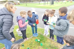 plantation-semis-CP-4