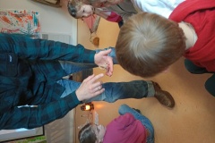 IMG_20260330_114440