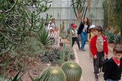 IMG_20250527_150431