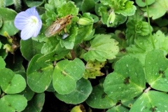 trashed-1745421327-IMG_20250324_161522