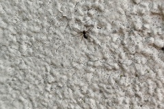 trashed-1745421641-IMG_20250324_162031