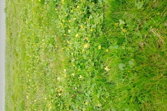 1_IMG_20250307_100158